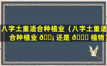 八字土重适合种植业（八字土重适合种植业 🐡 还是 🐋 植物）